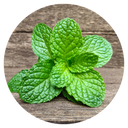 Menthol