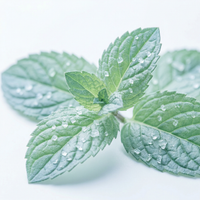Menthol